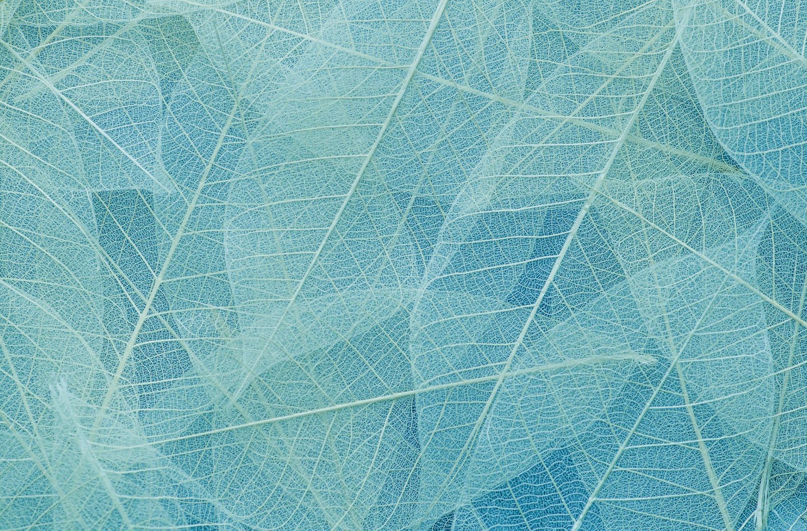 Close-up of light-blue net or mesh fabric with fine intersecting threads stretching across the frame.