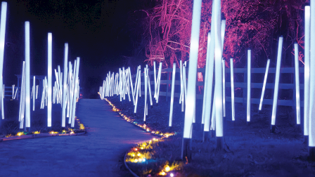 A nighttime walkway in a forest lined with glowing vertical light tubes, with trees and small warm lights along the path.