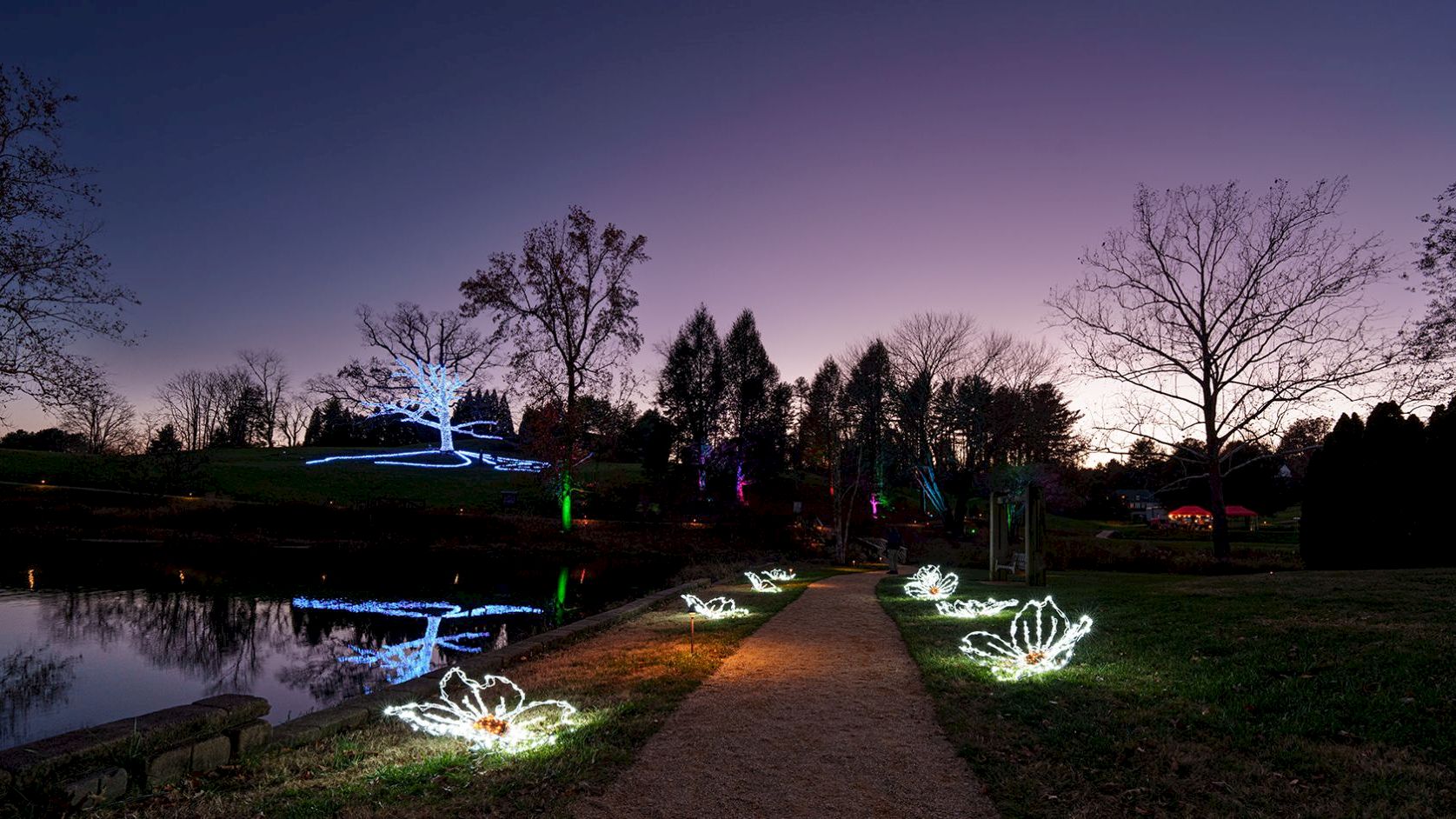 An illuminated garden path by a pond at dusk, with glowing lotus-like lights along the walkway and bare trees silhouetted against a purple-blue sky.