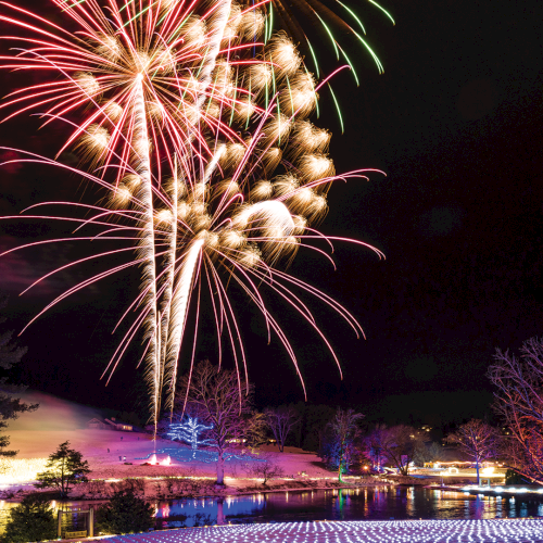 Colorful fireworks burst over a snowy park and lake at night, with lights and trees glowing along the shore.