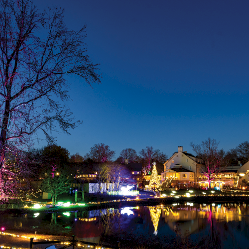 A night festival lights up a pond and riverside houses with glowing colored trees and reflections in the water.