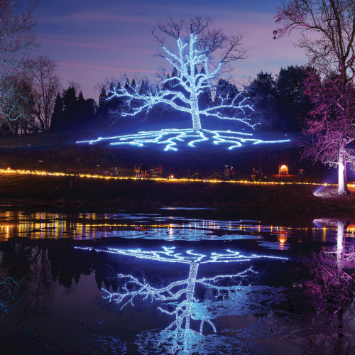A nighttime park scene with colorful LED-lit trees and a blue light artwork reflected in a pond.