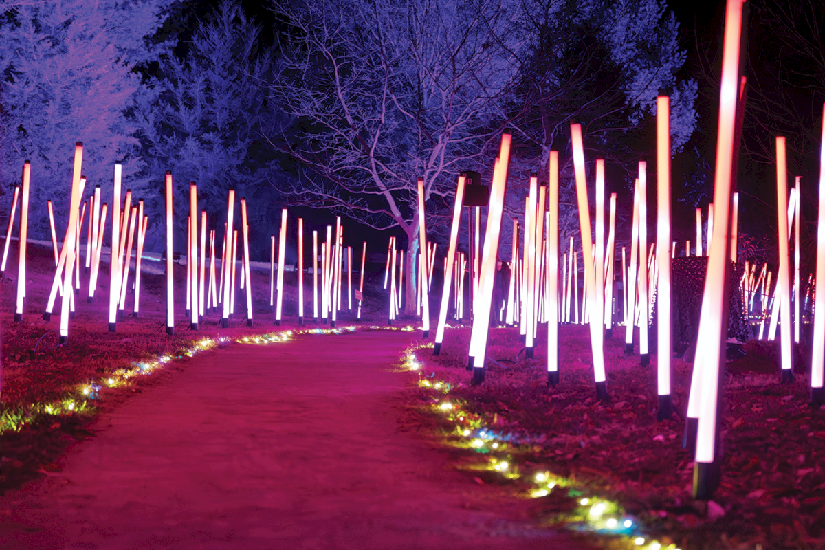A winding path lit by glowing pink and purple light poles arranged along both sides, creating a surreal illuminated forest walkway.