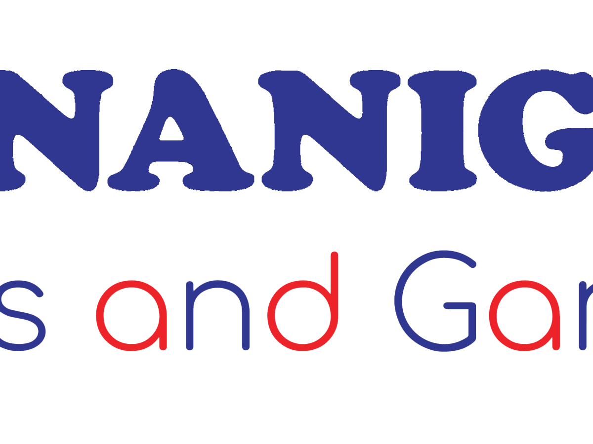 The image says &ldquo;SHENANIGANS&rdquo; and &ldquo;Toys and Games&rdquo; in bold blue and red letters.