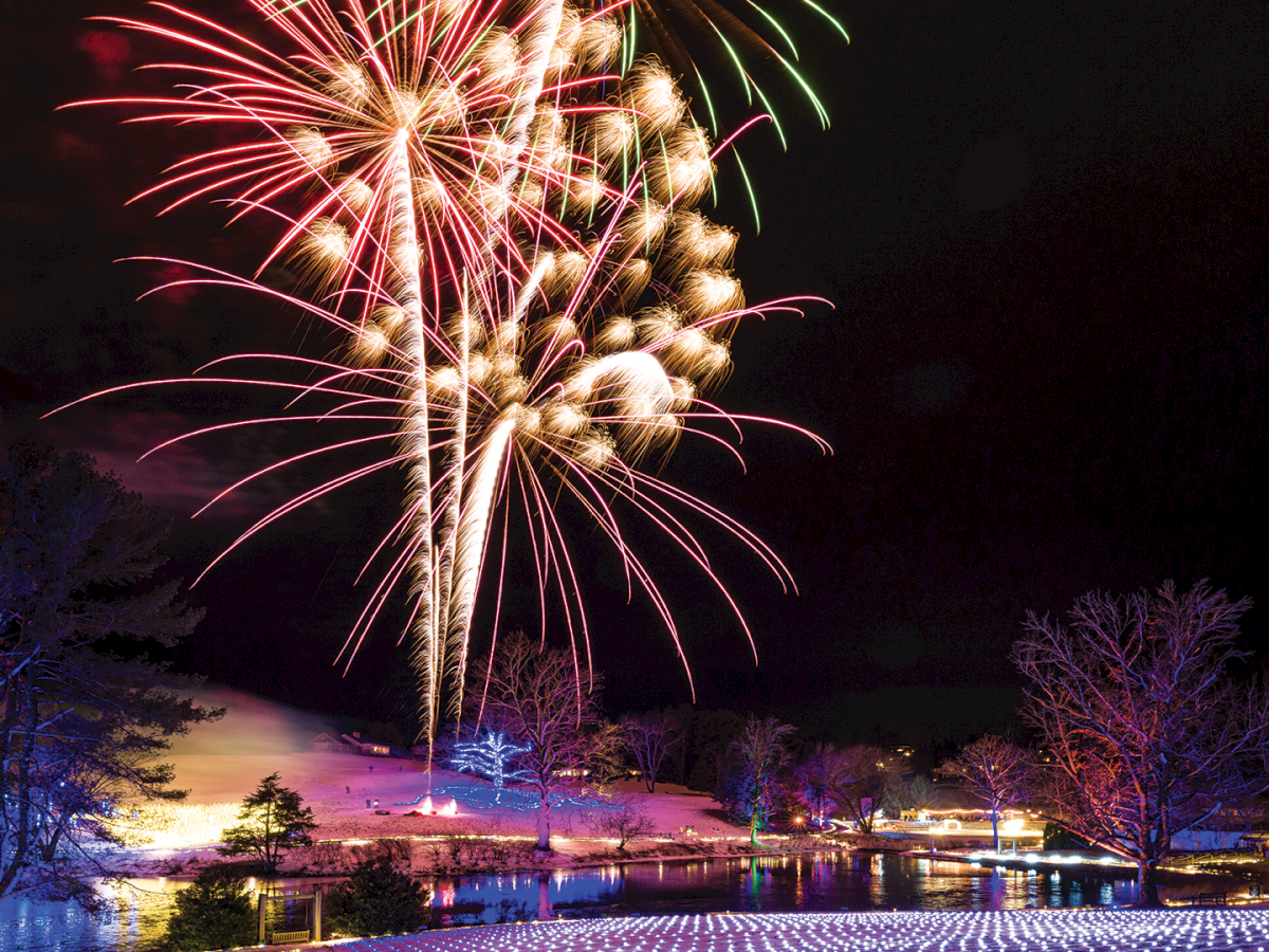 Colorful fireworks burst above a nighttime lake and trees, with glowing lights along the shore.