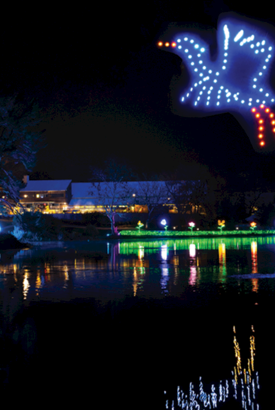 A nighttime lake lit with colorful LEDs, reflecting a giant blue-and-red illuminated star above the shoreline.