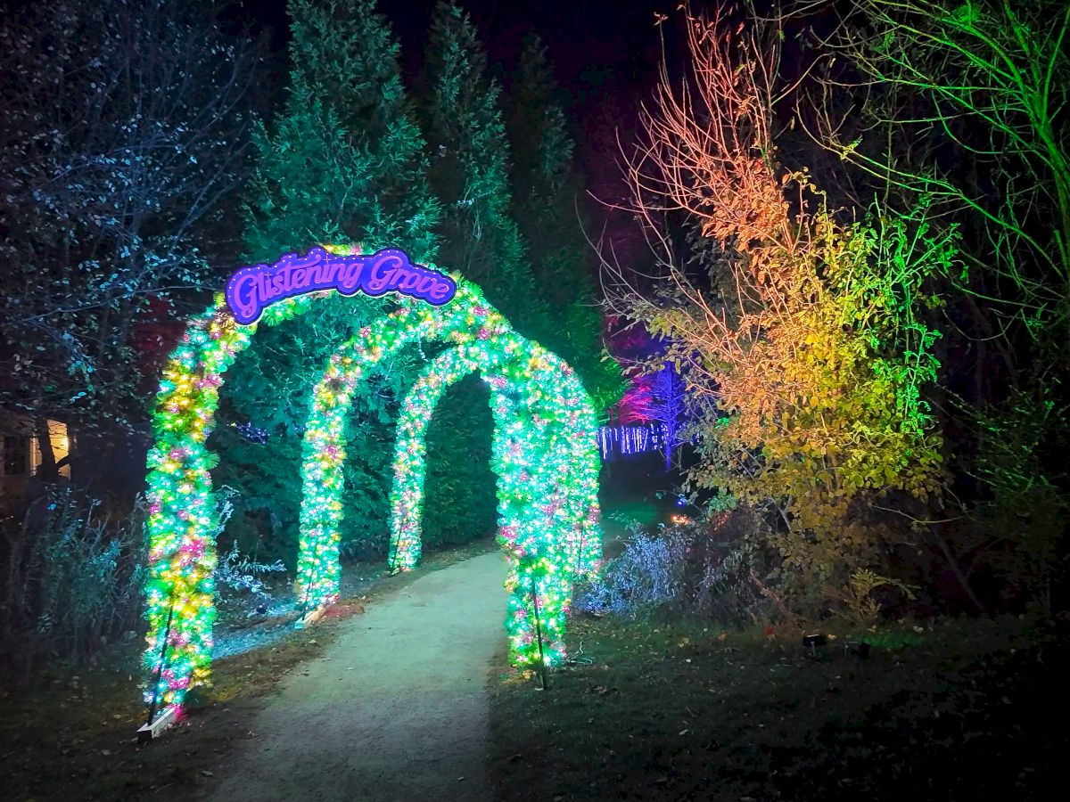 A nighttime &ldquo;Glistening Grove&rdquo; light display forms a glowing arched tunnel of trees with colorful LEDs along a pathway.