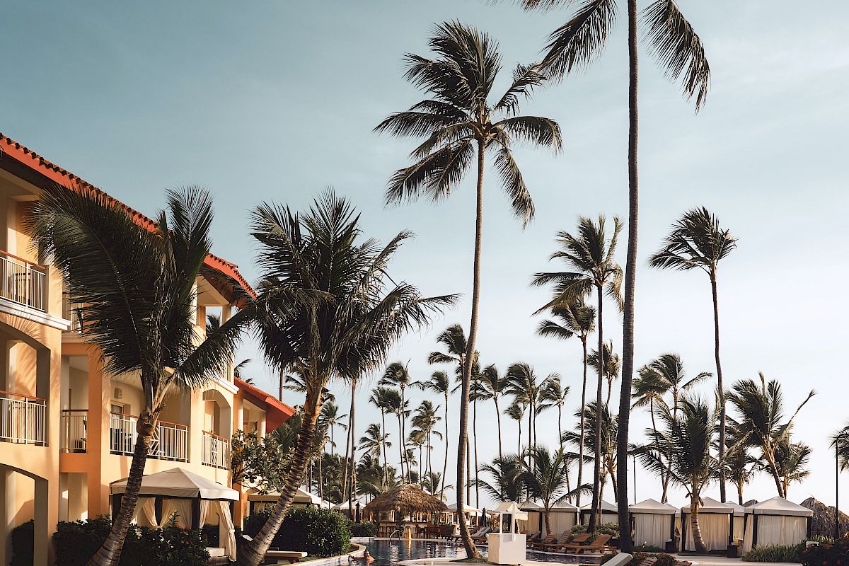 A tropical resort pool with calm water, lounge chairs, and tall palm trees against a blue sky.